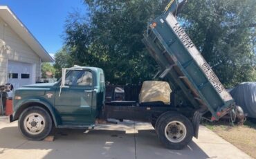 Chevrolet-Series-c-1969-Green-Green