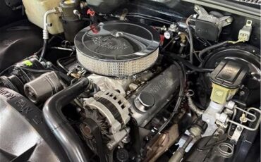 Chevrolet-Silverado-1500-1994-Pickup-6