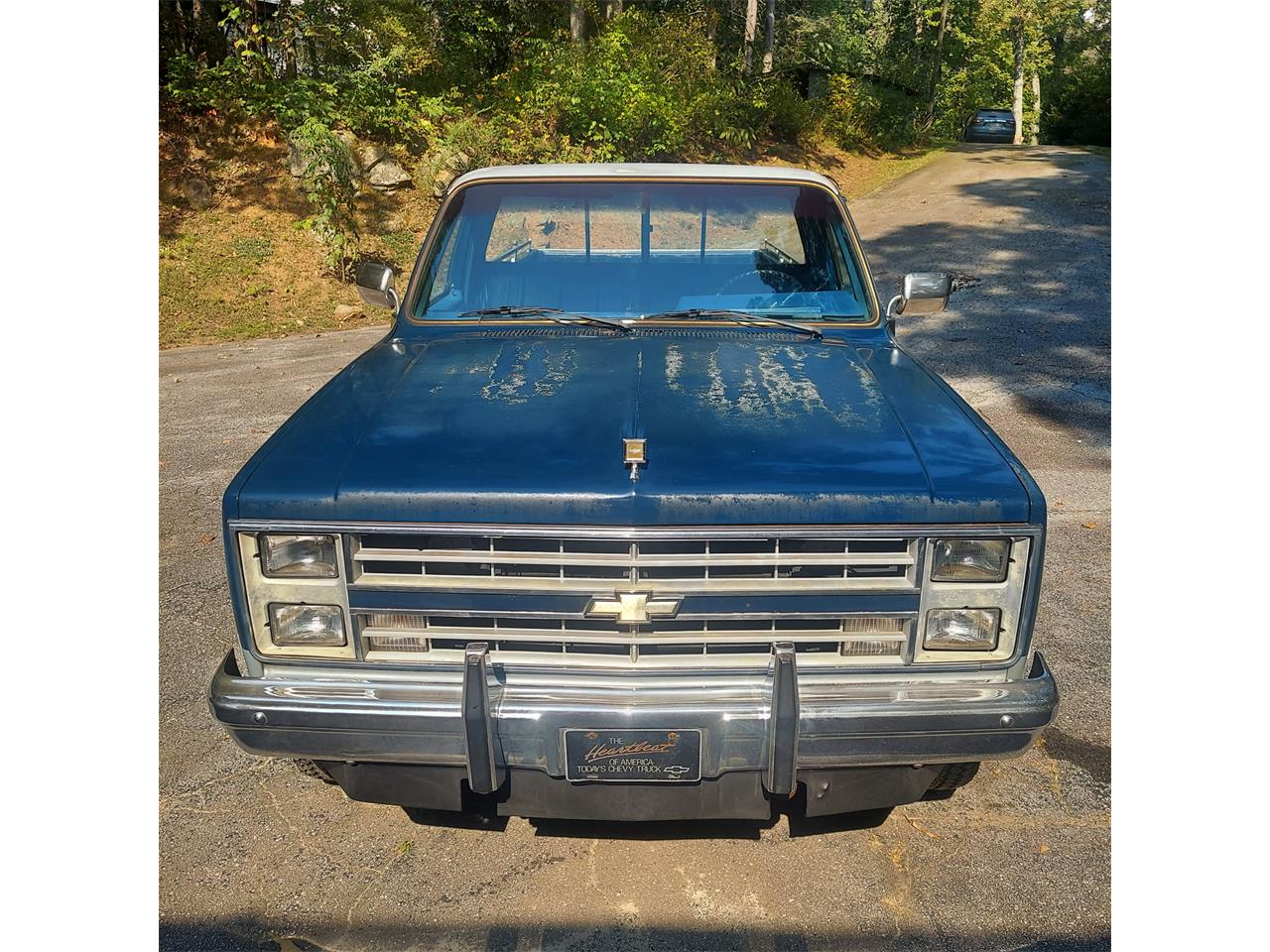 Chevrolet-Silverado-1985-Blue-Blue