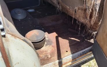 Chevrolet-Styleline-1950-7