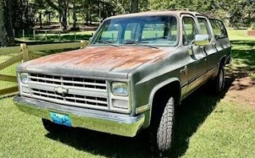 Chevrolet-Suburban-1987-Grey-Blue