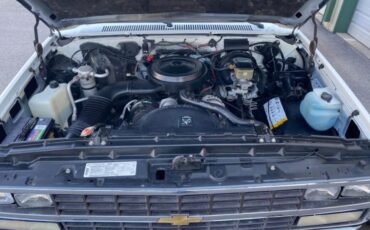 Chevrolet-Suburban-1991-SUV-6