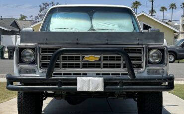 Chevrolet-Super-cheyenne-1973-White-Blue-7