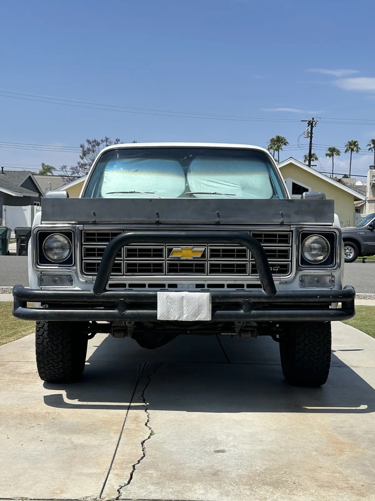 Chevrolet-Super-cheyenne-1973-White-Blue-7
