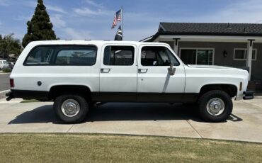 Chevrolet-Super-cheyenne-1973-White-Blue-8