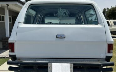 Chevrolet-Super-cheyenne-1973-White-Blue-9