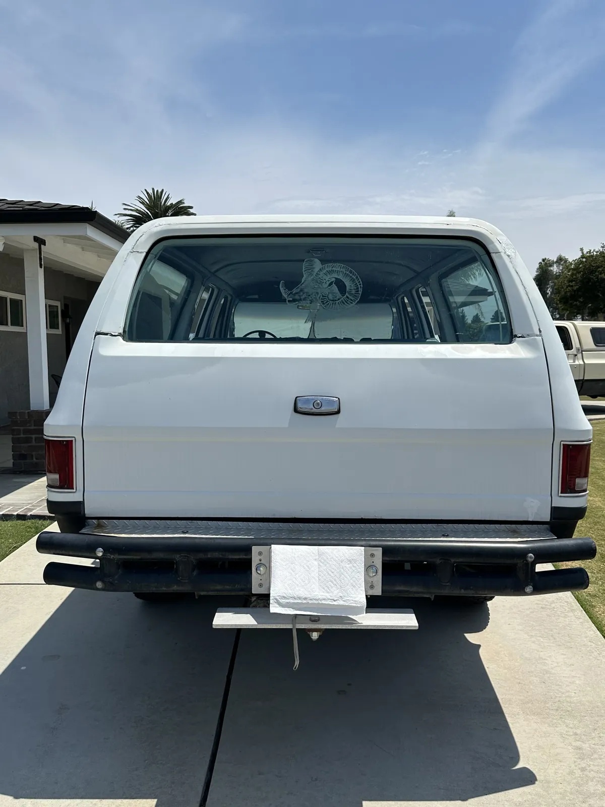Chevrolet-Super-cheyenne-1973-White-Blue-9