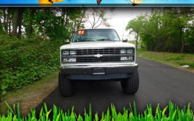 Chevrolet blazer 1991