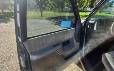 Chevrolet-blazer-1994-green-17