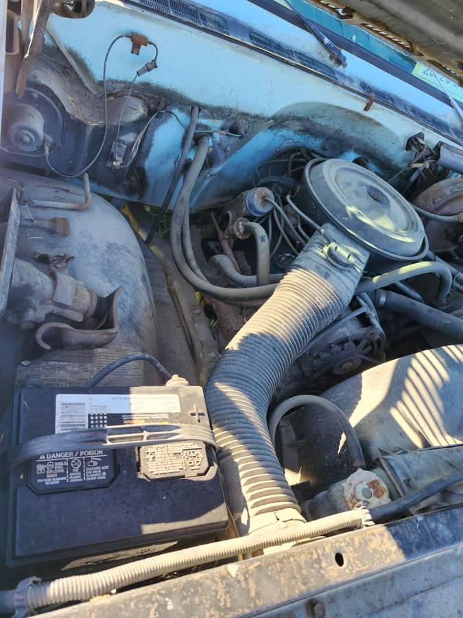 Chevrolet-bonanza-1978-10
