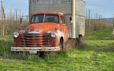Chevrolet box truck 1951