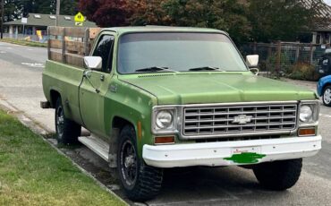 Chevrolet-c-20-1974-green-1