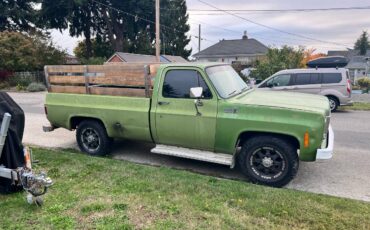 Chevrolet-c-20-1974-green-3