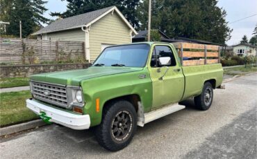 Chevrolet-c-20-1974-green
