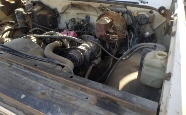 Chevrolet-c0-stepside-1976-1