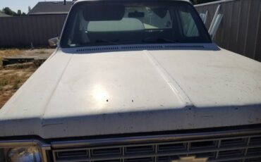 Chevrolet-c0-stepside-1976-10