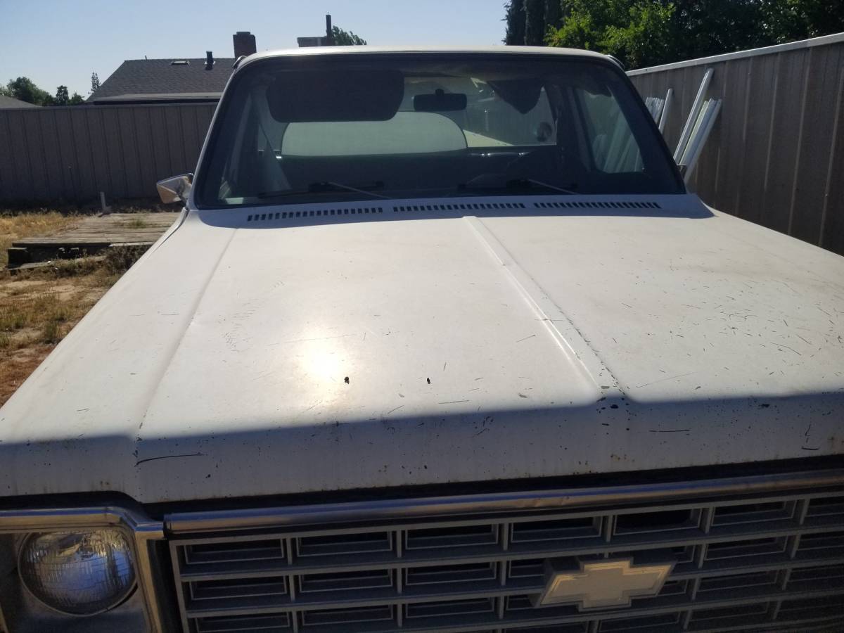 Chevrolet-c0-stepside-1976-10