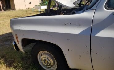 Chevrolet-c0-stepside-1976-11