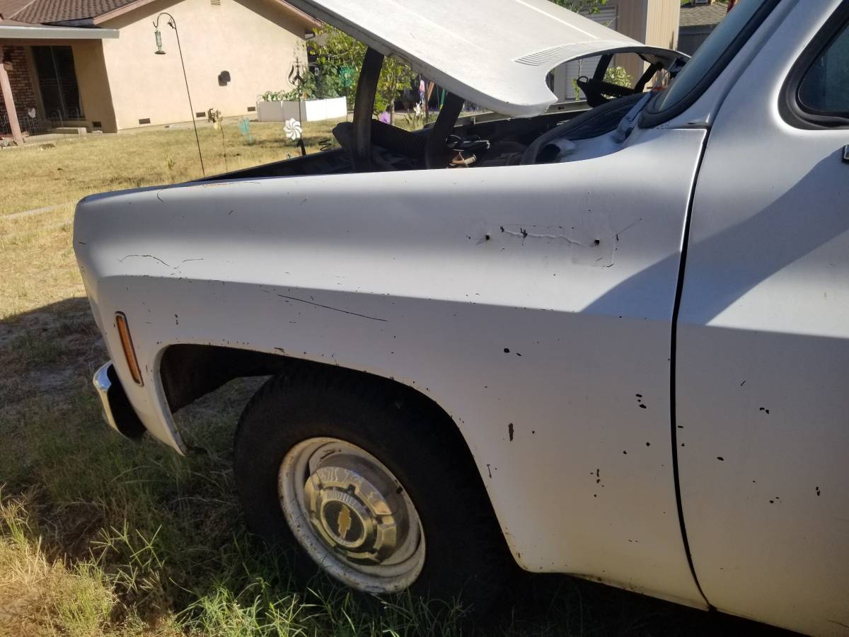 Chevrolet-c0-stepside-1976-11