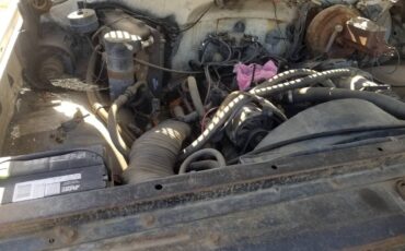 Chevrolet-c0-stepside-1976-12