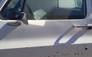 Chevrolet-c0-stepside-1976-13