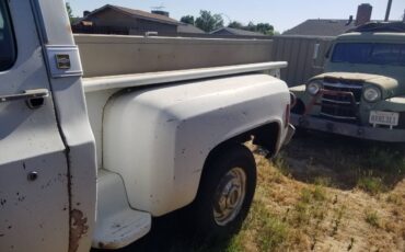 Chevrolet-c0-stepside-1976-14