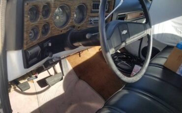 Chevrolet-c0-stepside-1976-15