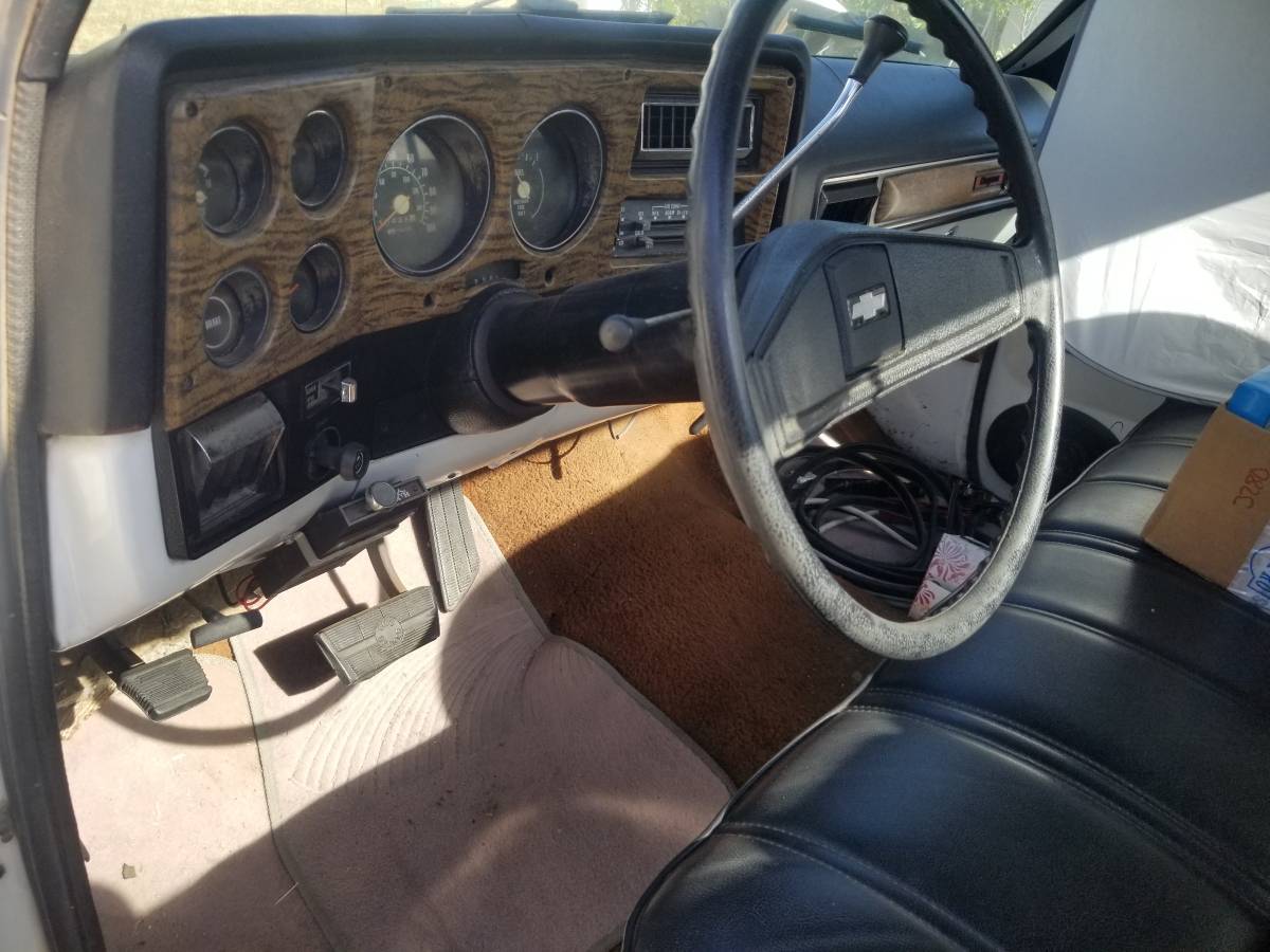 Chevrolet-c0-stepside-1976-15