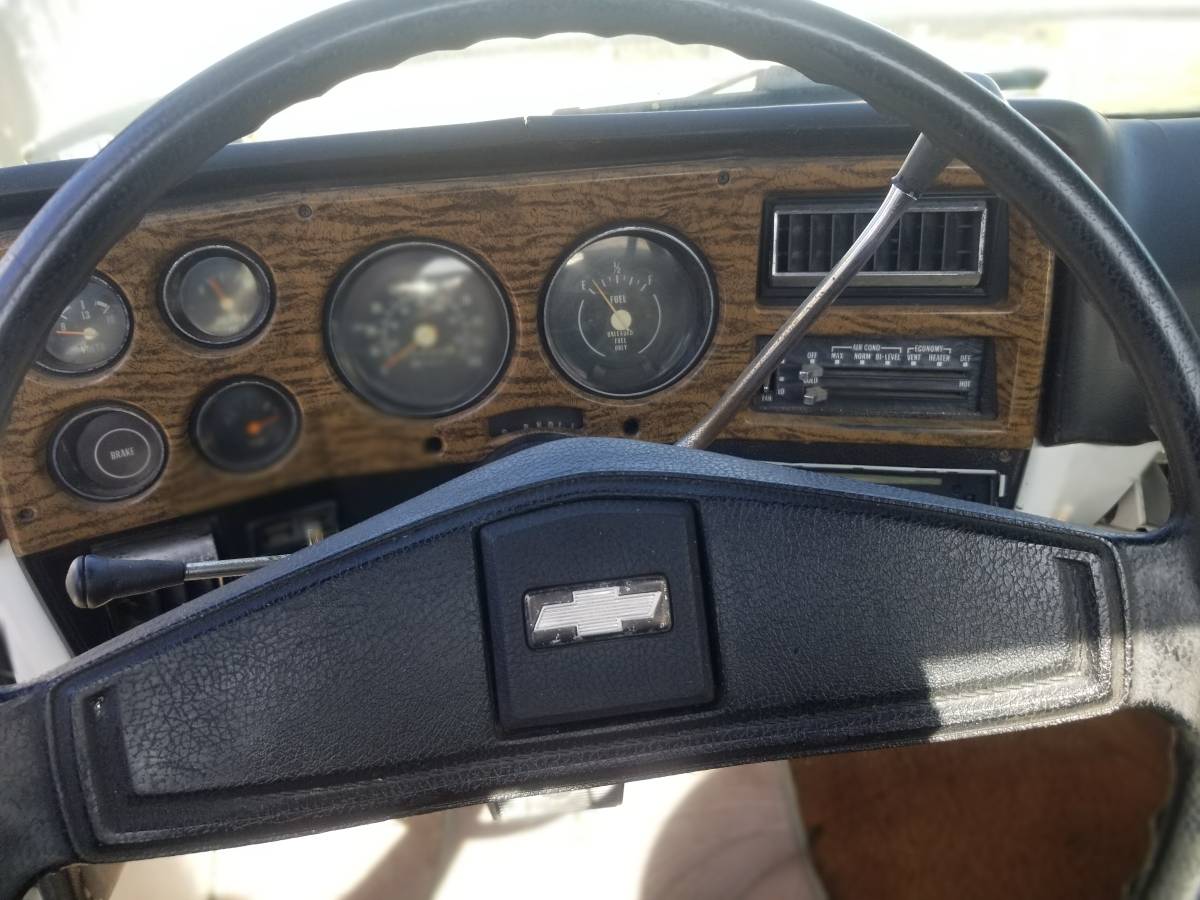 Chevrolet-c0-stepside-1976-16