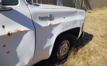 Chevrolet-c0-stepside-1976-2