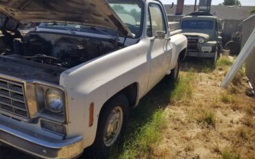 Chevrolet-c0-stepside-1976