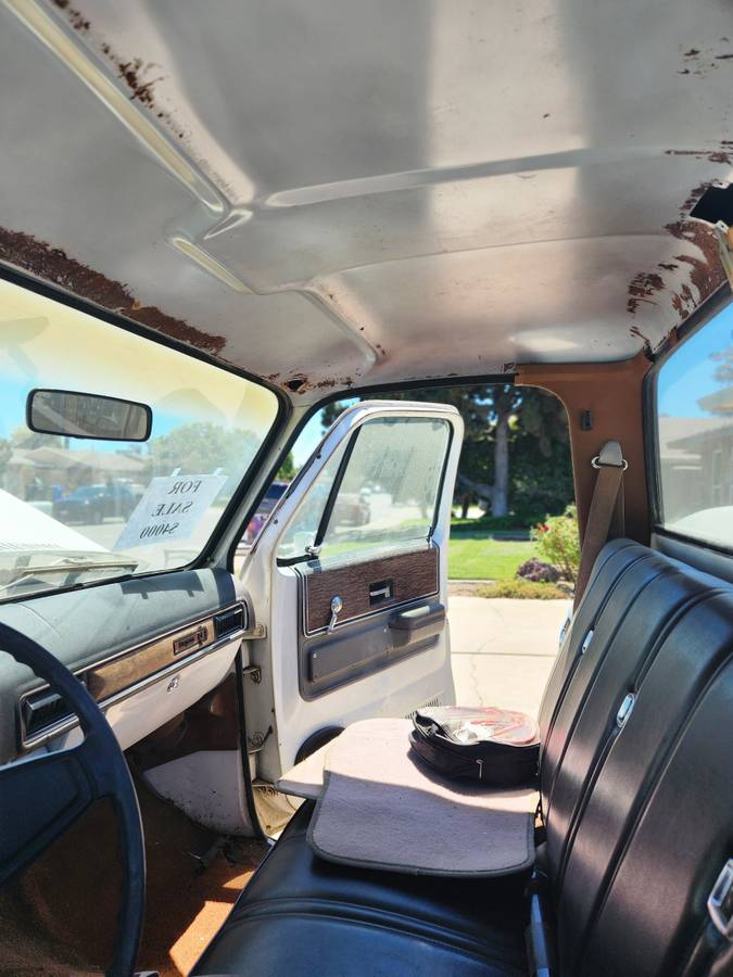 Chevrolet-c0-stepside-1976-7