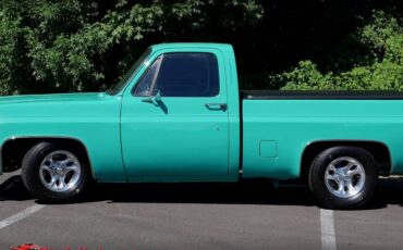 Chevrolet-c10-1977-1