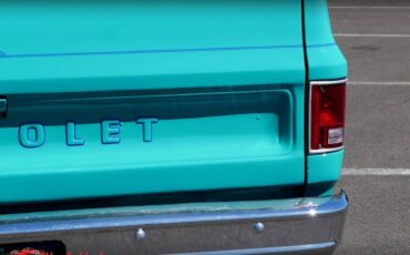 Chevrolet-c10-1977-10