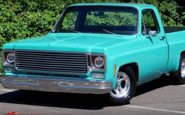 Chevrolet-c10-1977-13