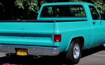 Chevrolet-c10-1977-14