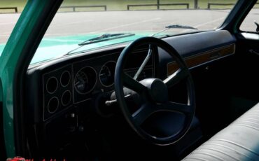 Chevrolet-c10-1977-17