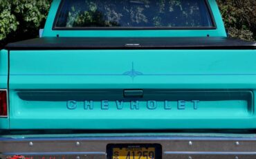 Chevrolet-c10-1977-2