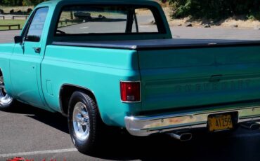 Chevrolet-c10-1977-20
