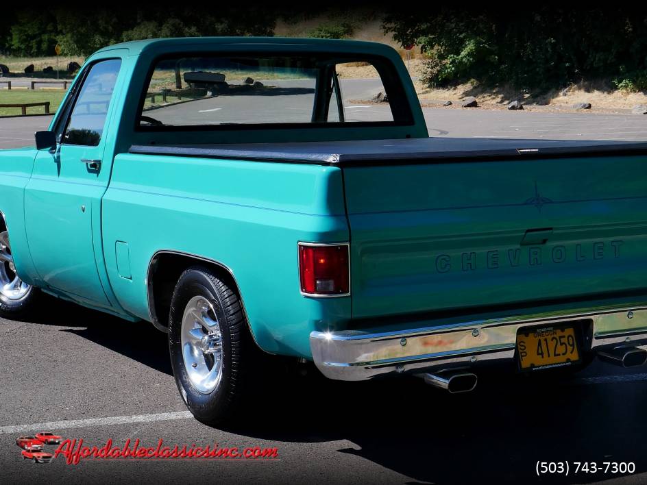 Chevrolet-c10-1977-20