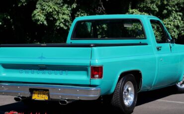 Chevrolet-c10-1977-21