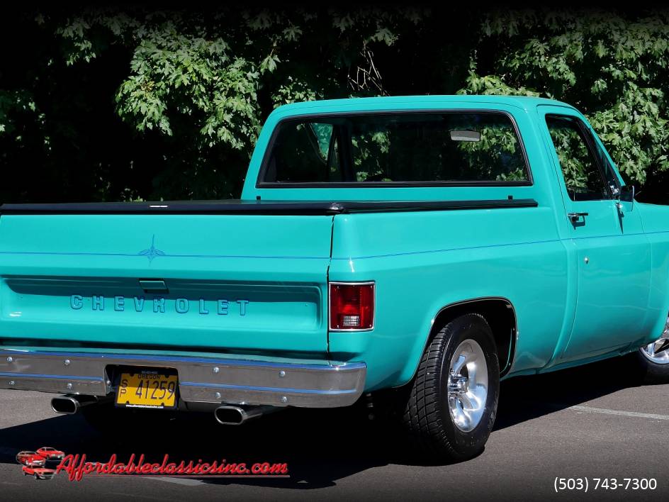 Chevrolet-c10-1977-21