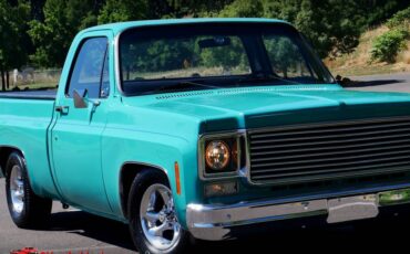 Chevrolet-c10-1977-22
