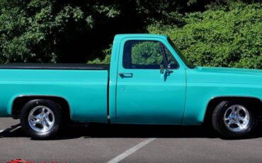 Chevrolet-c10-1977-3