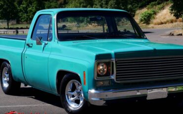 Chevrolet-c10-1977-4