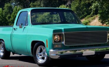 Chevrolet-c10-1977-5
