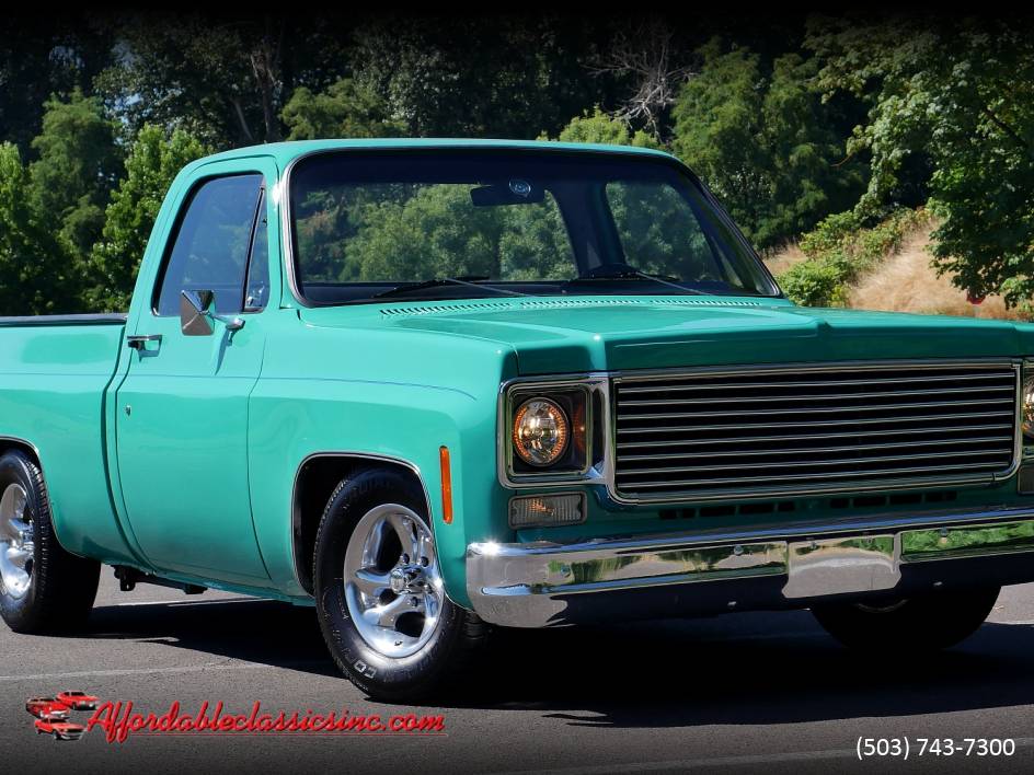 Chevrolet-c10-1977-5
