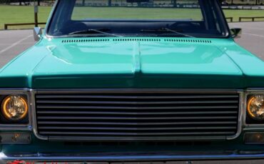 Chevrolet-c10-1977-6