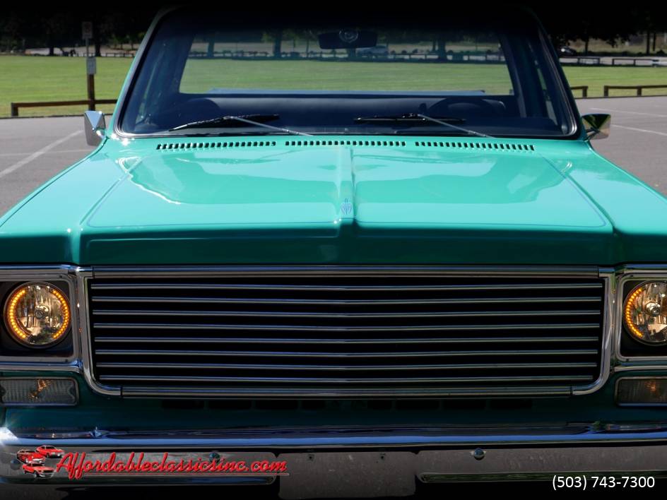 Chevrolet-c10-1977-6