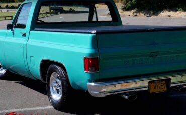 Chevrolet-c10-1977-7